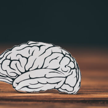 uszkodzenie mózgu uszkodzenie mózgu